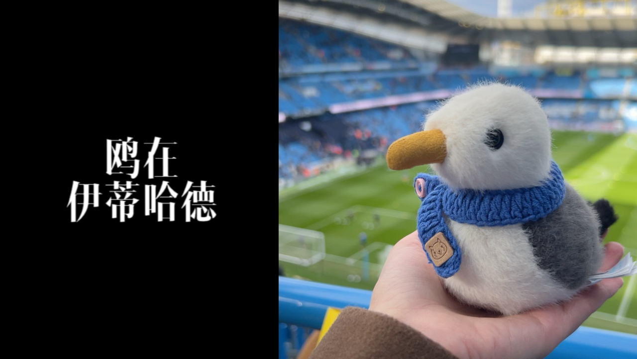 布莱顿客场告捷，连胜引人注目(意甲那不勒斯40桑普前5轮全胜)